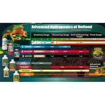Advanced Hydroponics Dutch Formula Bloom